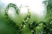 比特币暴涨背后：2025市场幻象、资金暗流与韭菜陷阱