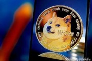 狗狗币(DOGE)价格波动：能否突破1美元甚至2美元大关？